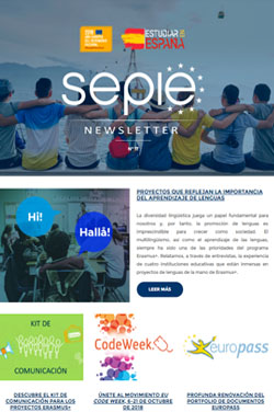 Newsletter Nº 17 Newsletter Número 17